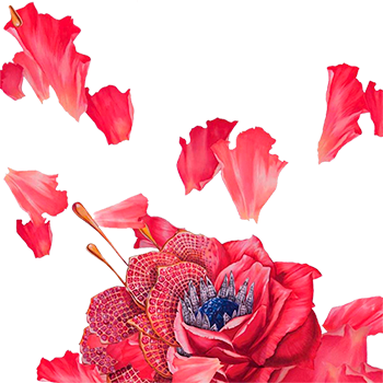 Del Mar Primavera